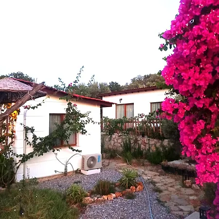 Hotel de apartamente Kavurlukoz 3*