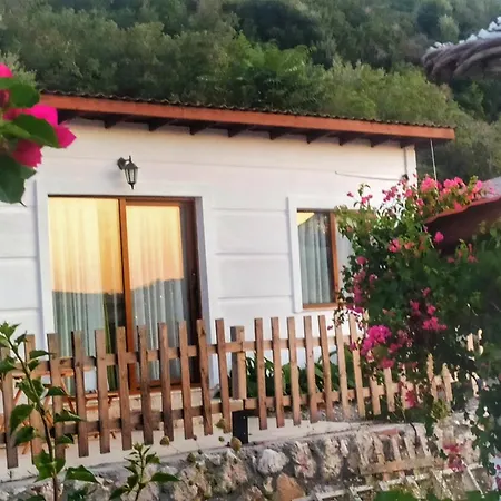 Kavurlukoz 3*