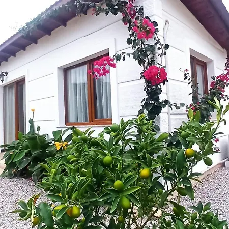 Hotel de apartamente Kavurlukoz Butik *
