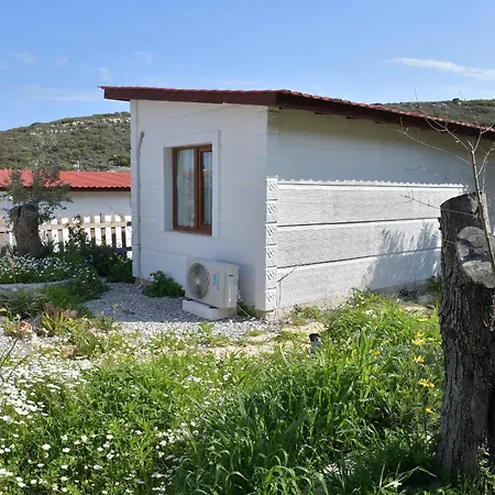 Kavurlukoz Butik