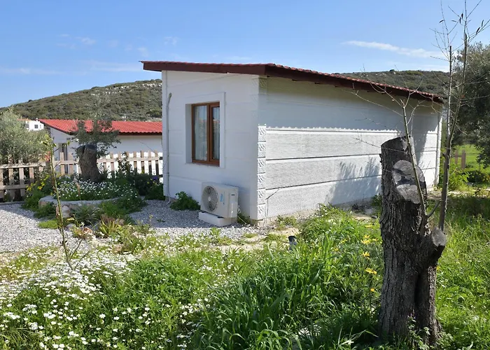 Kavurlukoz