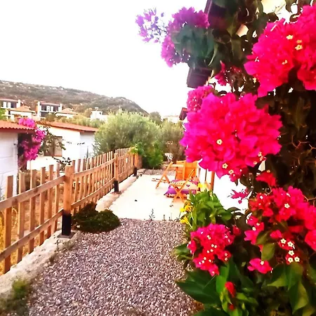 Kavurlukoz 3* Karaburun (Izmir)