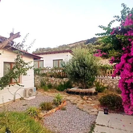 Hotel de apartamente Kavurlukoz