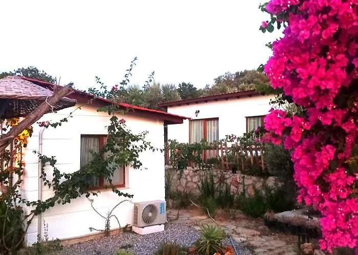 Lejlighedshotel Kavurlukoz 3*